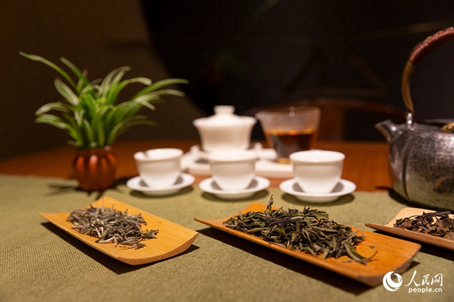 走出大山的福建茶葉。人民網(wǎng) 焦艷攝