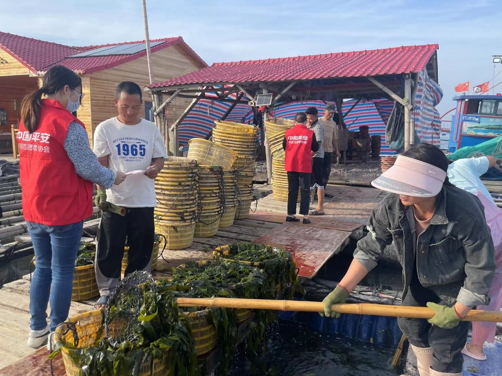平安產(chǎn)險寧德中心支公司深入調(diào)研走訪霞浦當(dāng)?shù)貪O業(yè)養(yǎng)殖大戶