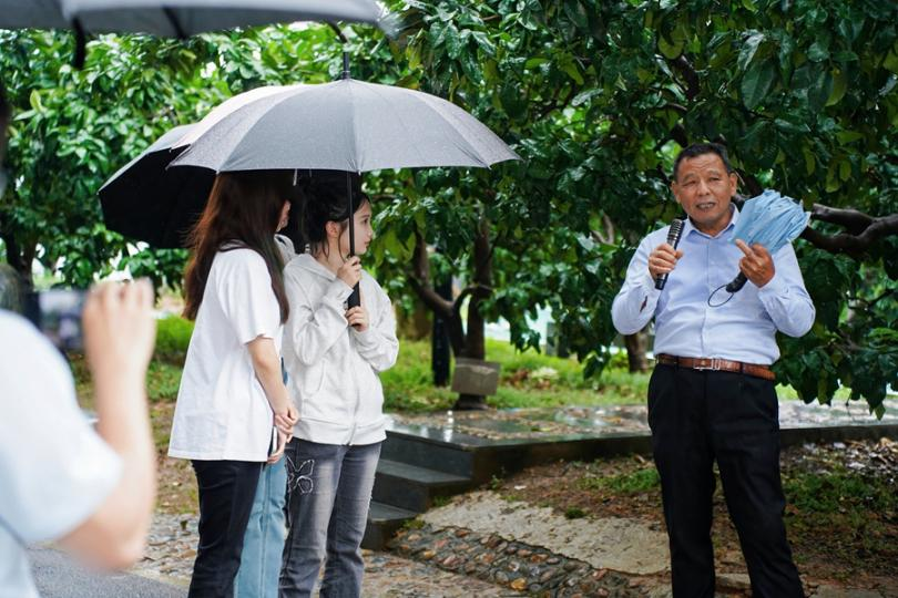 主播們走進(jìn)蜜柚林。主辦方供圖