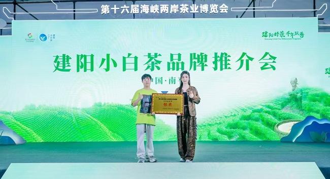 水仙白牡丹榮獲第三屆中國小白茶茶王爭霸賽銀獎。建陽區(qū)融媒體中心供圖