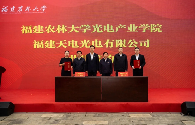與天電光電簽訂共建協(xié)議。葉超攝