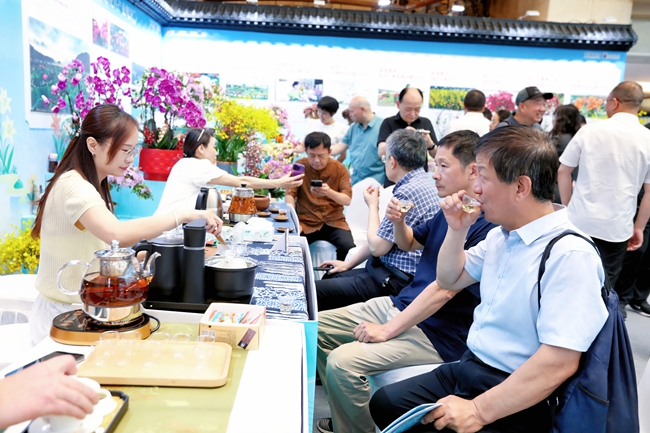 游客品嘗周寧高山云霧茶。湯文娟攝