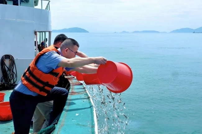 放流活動(dòng)現(xiàn)場(chǎng)