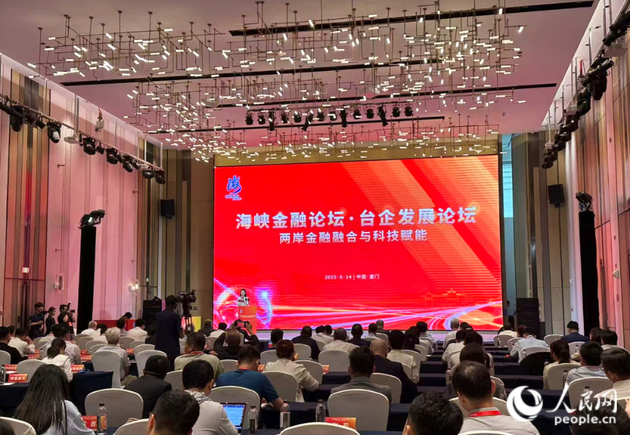 論壇現(xiàn)場。人民網(wǎng)記者 張萌攝