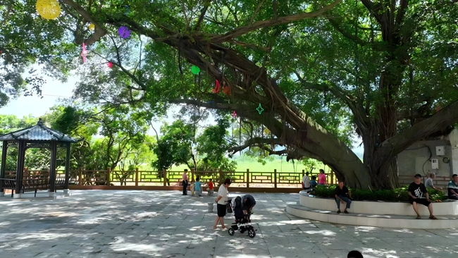公園里，市民在樹下漫步