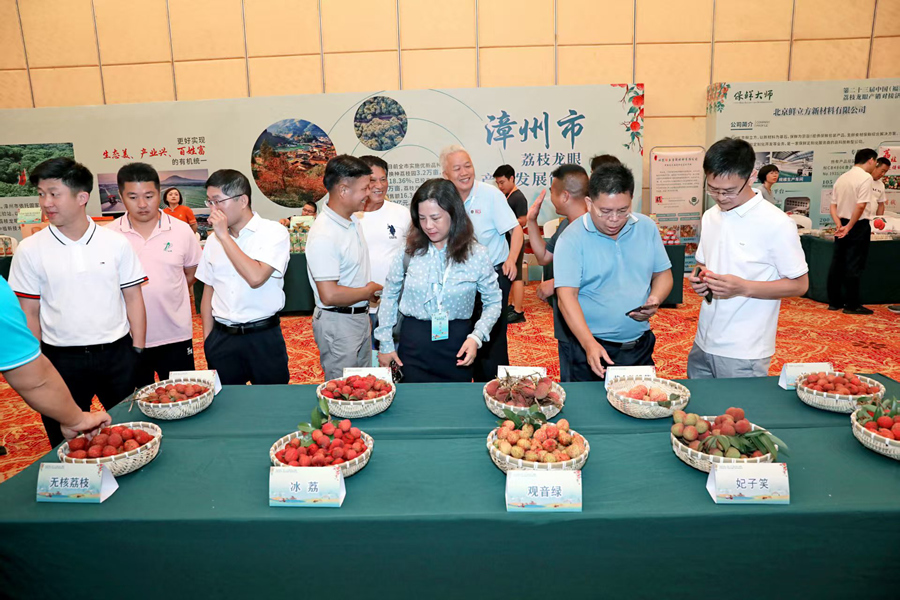 活動(dòng)現(xiàn)場(chǎng)展出各類荔枝、龍眼。漳州市農(nóng)業(yè)農(nóng)村局供圖