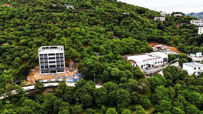 福建省青欖食品有限公司橄欖園。工行福州閩清支行供圖