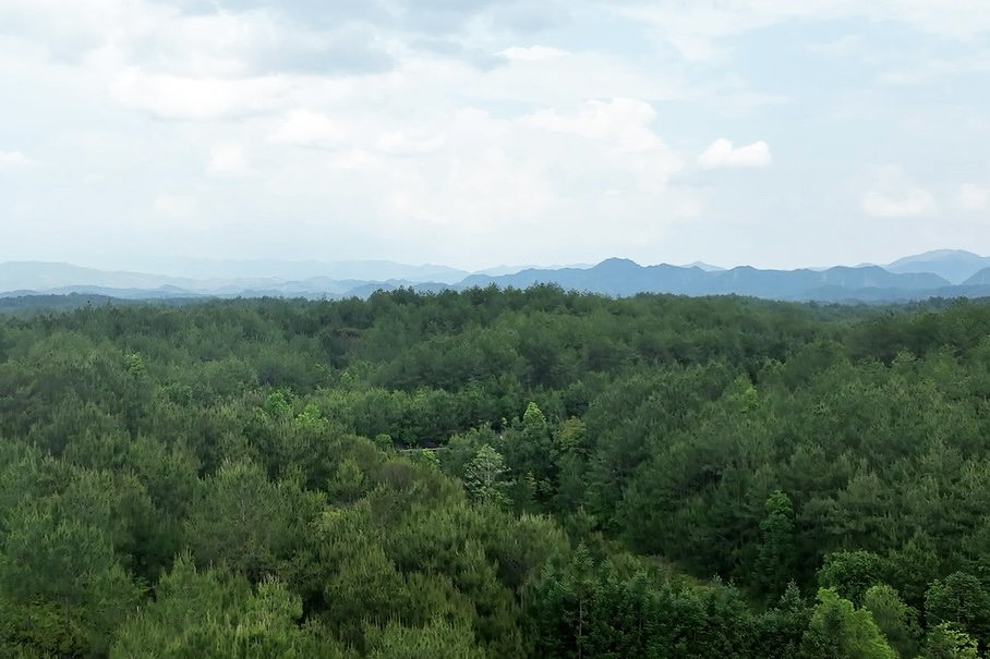 長汀縣羅地草山（2022年）。長汀縣水土保持中心供圖