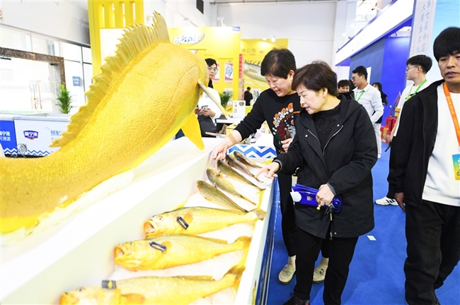 大黃魚(yú)文化節(jié)。記者 張桂漢攝