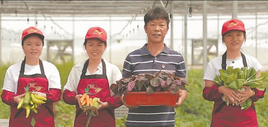莊家寶蔬菜專業(yè)合作社的生態(tài)特色農(nóng)產(chǎn)品。受訪單位供圖